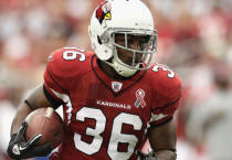 LaRod Stephens-Howling - Carolina Panthers v Arizona Cardinals